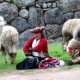 Choquequirao Cusco Peru
